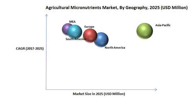 Agricultural Micronutrients Market Size