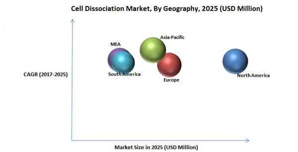 Global Cell Dissociation Market By Geography