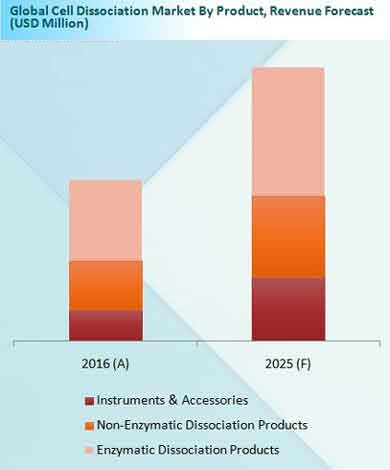 Global Cell Dissociation Market Revenue Forecast