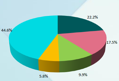 Production Capacity Share of Key Players