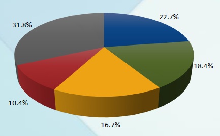 Polysilicon Production Equipment Market Shares