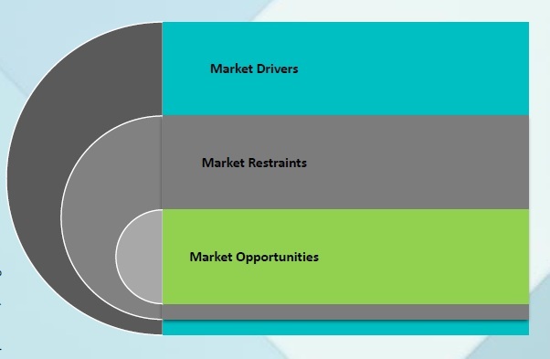 Market Dynamics Snapshot