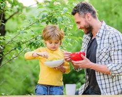 A family enjoying a healthy organic meal